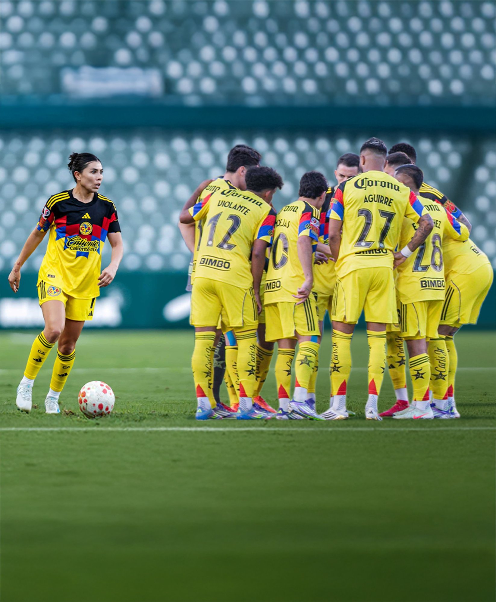 Banner D. Adm. Fut.1_461x560 (2)