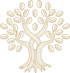 Árbol UP